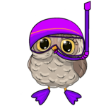Regal Swim Owl Swim Cap Cancellation Policy