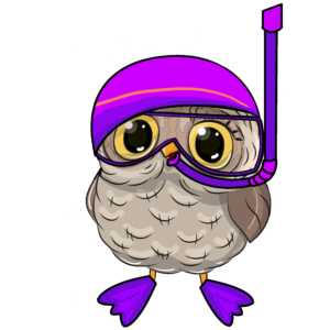 Regal Swim Owl Swim Cap Levels